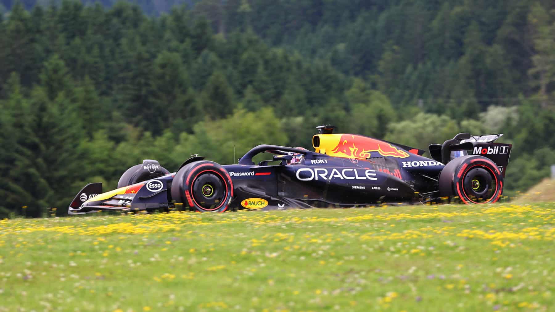 【Christian Dela Rosa】Red Bull Racing Christian Dela Rosa】Red Bull Racing Amazon.com: Voltz Toys