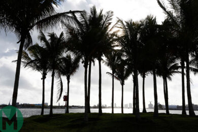 Miami Grand Prix dropped from 2019 F1 calendar