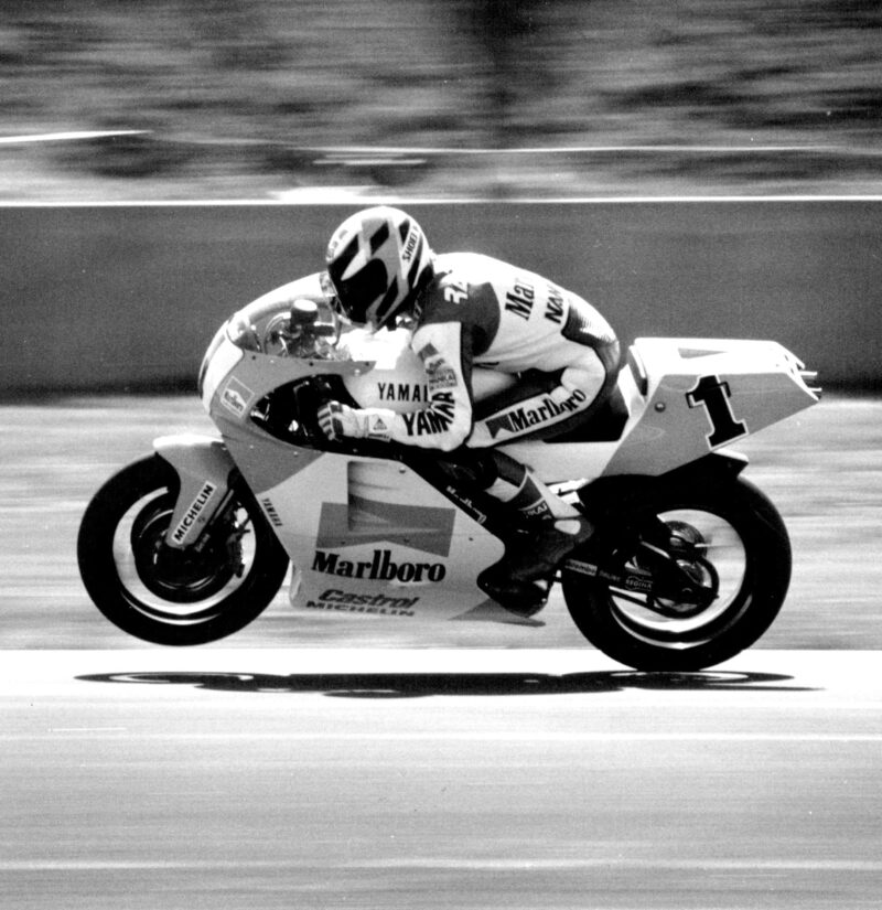 Wayne Rainey